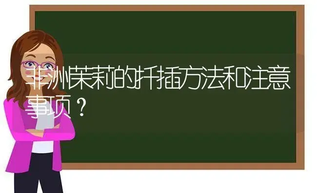 非洲茉莉的扦插方法和注意事项？ | 绿植常识