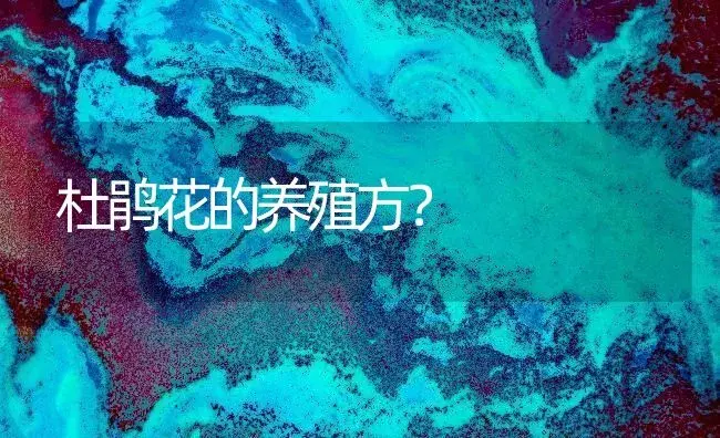 杜鹃花的养殖方？ | 绿植常识