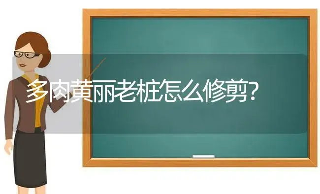 多肉黄丽老桩怎么修剪？ | 多肉养殖