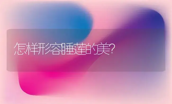 怎样形容睡莲的美？ | 多肉养殖