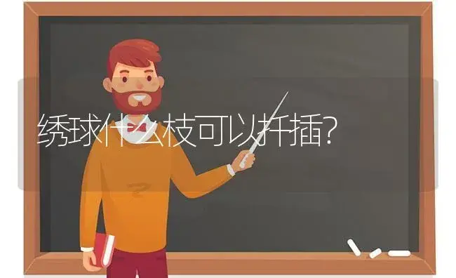 绣球什么枝可以扦插？ | 绿植常识