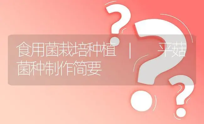 白灵菇病虫螨害综合预防措施 | 菌菇种植