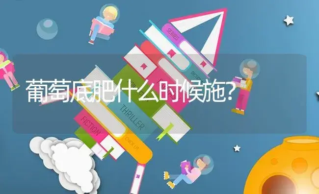 葡萄底肥什么时候施？ | 果木种植