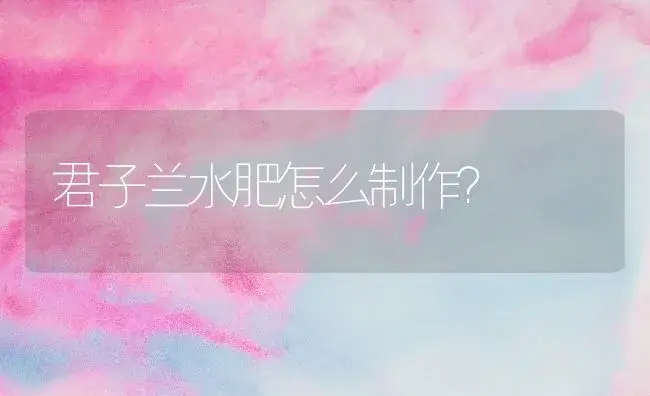 君子兰水肥怎么制作？ | 绿植常识