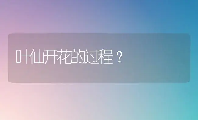 叶仙开花的过程？ | 多肉养殖