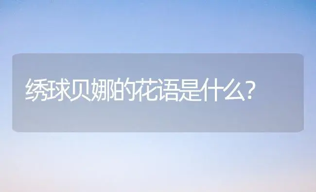 绣球贝娜的花语是什么？ | 绿植常识