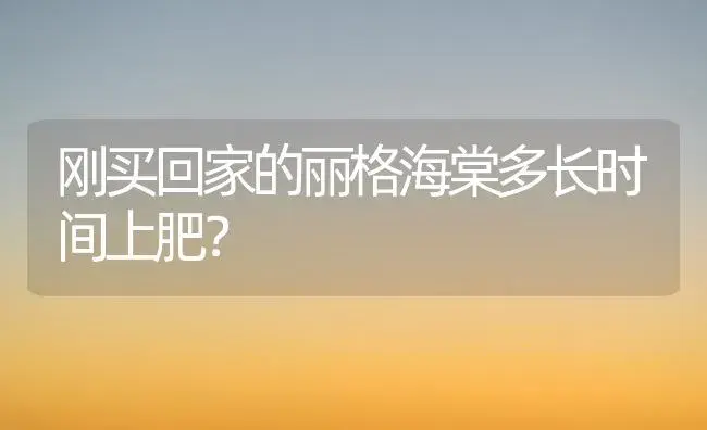 刚买回家的丽格海棠多长时间上肥？ | 绿植常识