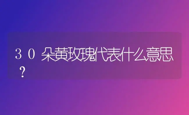 30朵黄玫瑰代表什么意思？ | 绿植常识