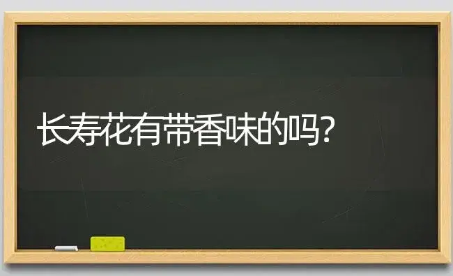 长寿花有带香味的吗？ | 多肉养殖