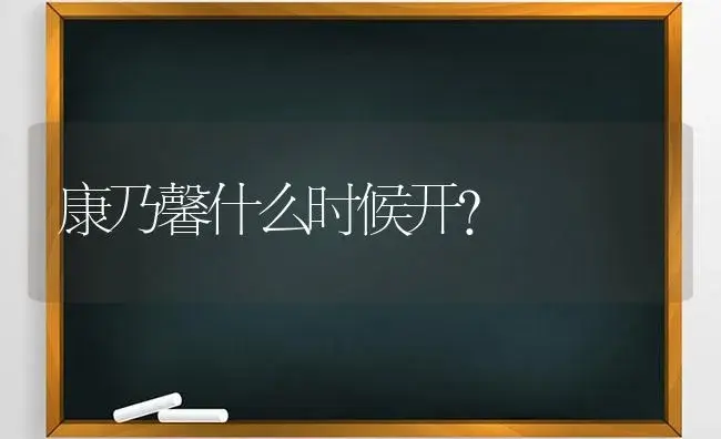 康乃馨什么时候开？ | 绿植常识