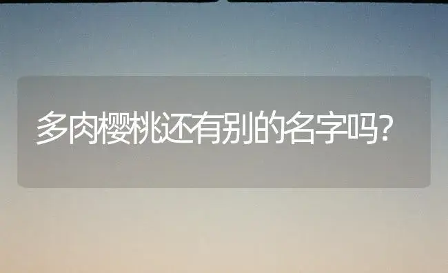 多肉樱桃还有别的名字吗？ | 多肉养殖