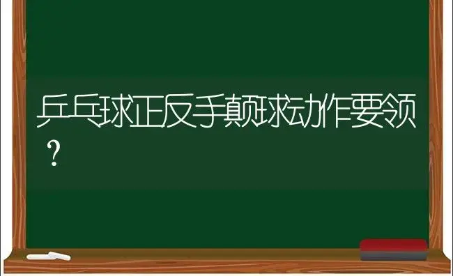 乒乓球正反手颠球动作要领？ | 多肉养殖