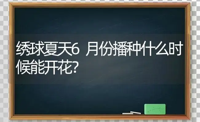 为什么有些月季能活几年？ | 绿植常识