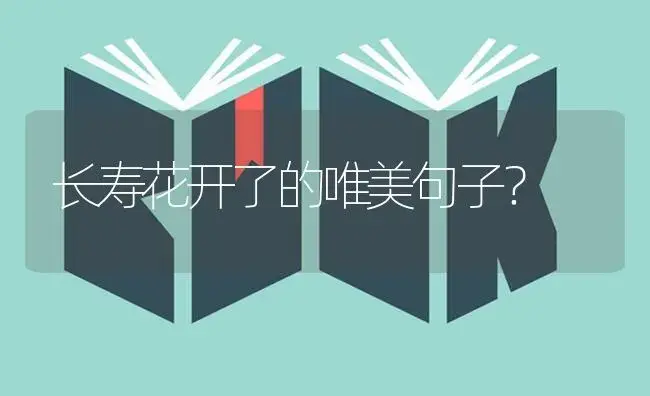 长寿花开了的唯美句子？ | 多肉养殖