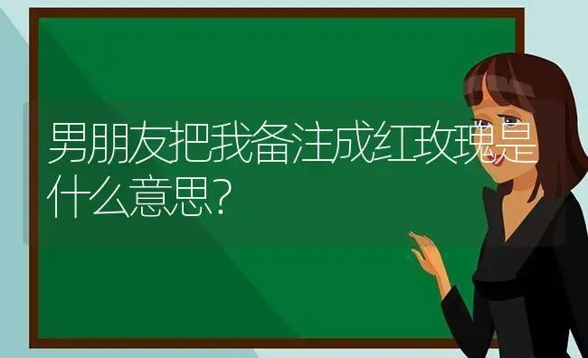 男朋友把我备注成红玫瑰是什么意思？ | 绿植常识