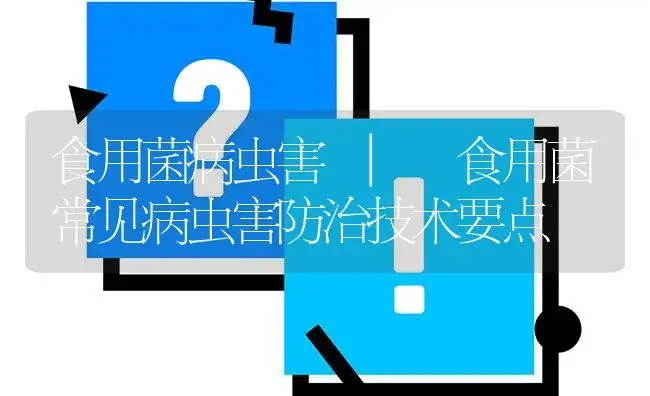 食用菌常见病虫害防治技术要点 | 菌菇种植