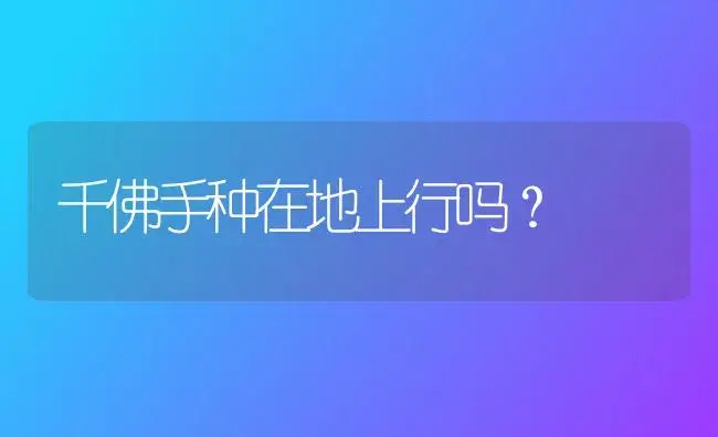 千佛手种在地上行吗？ | 多肉养殖