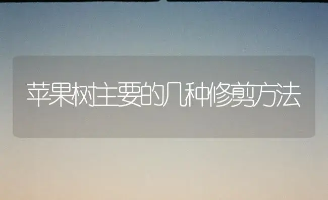 苹果树主要的几种修剪方法 | 果木种植