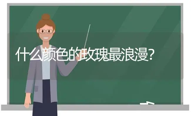 什么颜色的玫瑰最浪漫？ | 绿植常识