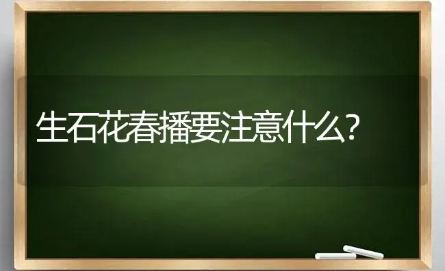 生石花春播要注意什么？ | 多肉养殖