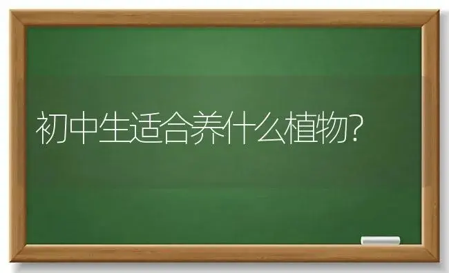 初中生适合养什么植物？ | 多肉养殖