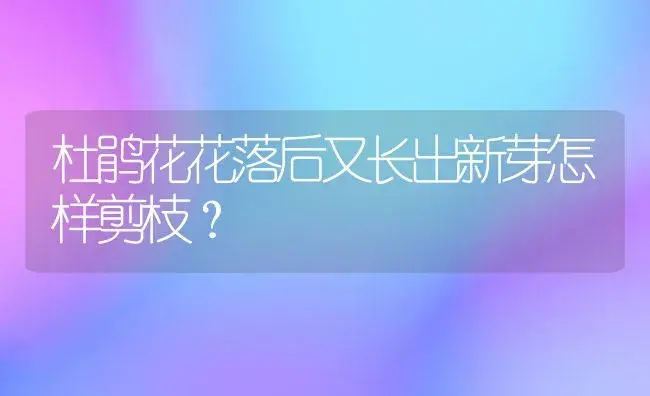 杜鹃花花落后又长出新芽怎样剪枝？ | 绿植常识