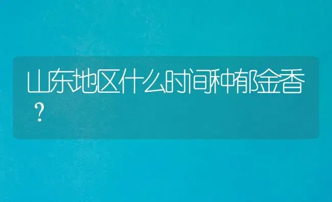 山东地区什么时间种郁金香？ | 绿植常识