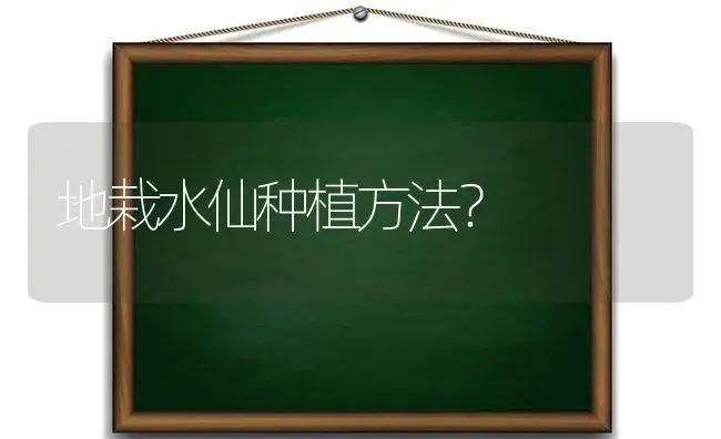 什么花的花语是“勿忘我&quot？ | 绿植常识