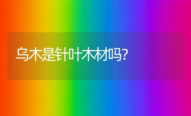 乌木是针叶木材吗？ | 多肉养殖