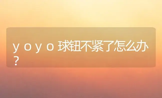 yoyo球钮不紧了怎么办？ | 多肉养殖