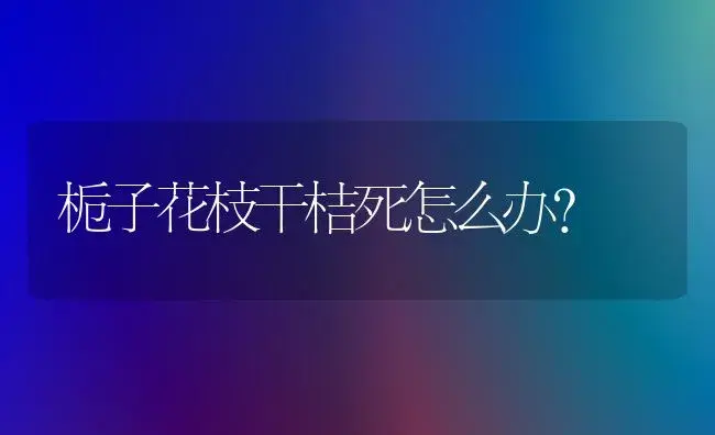 栀子花枝干桔死怎么办？ | 绿植常识