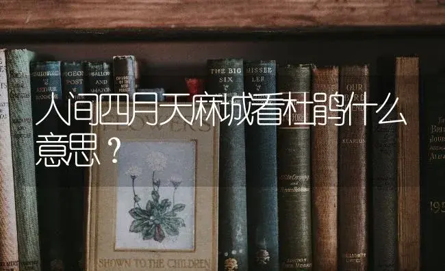 人间四月天麻城看杜鹃什么意思？ | 绿植常识