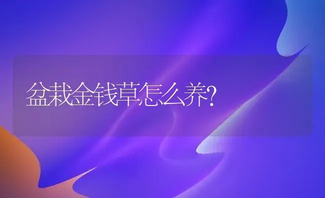 盆栽金钱草怎么养？ | 家庭养花