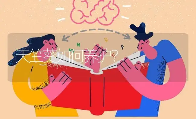 天竺葵如何养护？ | 特种种植