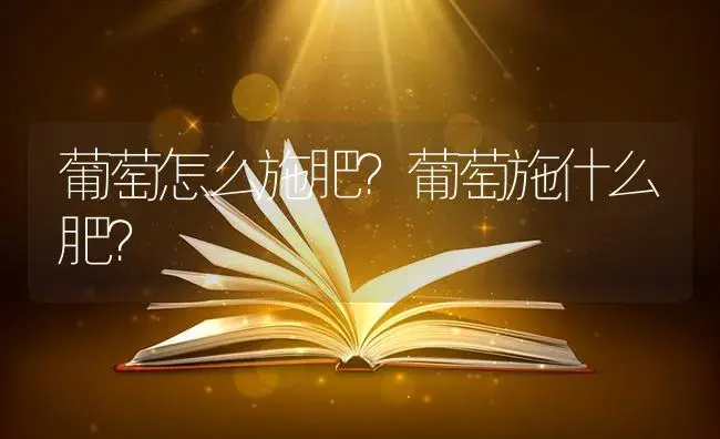 葡萄怎么施肥？葡萄施什么肥？ | 果木种植