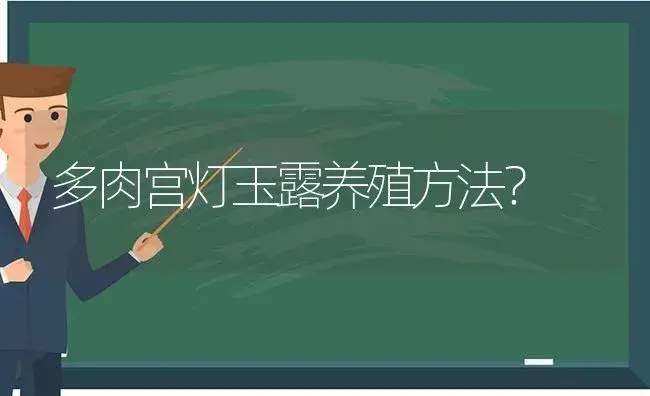 多肉宫灯玉露养殖方法？ | 多肉养殖