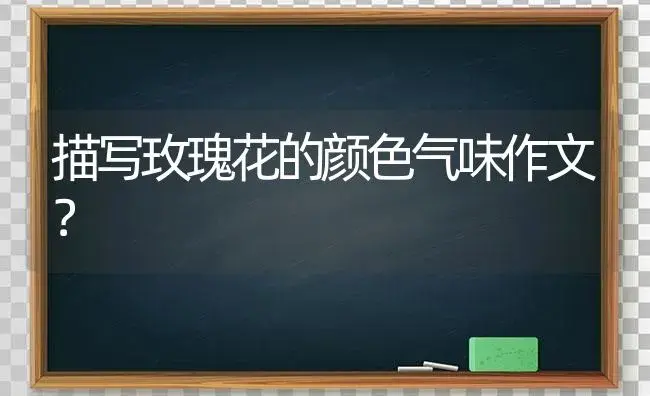 描写玫瑰花的颜色气味作文？ | 绿植常识