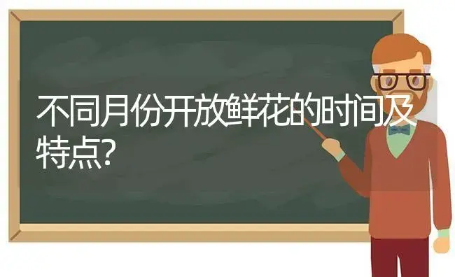 不同月份开放鲜花的时间及特点？ | 绿植常识