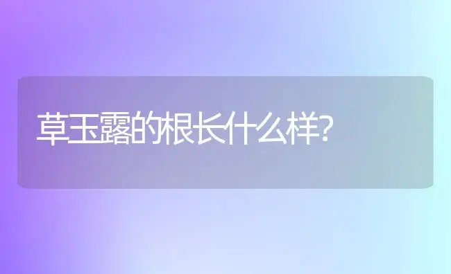 草玉露的根长什么样？ | 多肉养殖