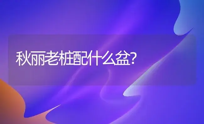 秋丽老桩配什么盆？ | 多肉养殖