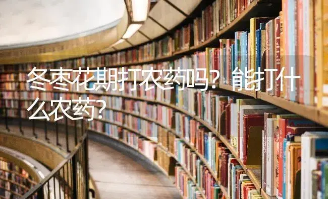 冬枣花期打农药吗？能打什么农药？ | 果木种植