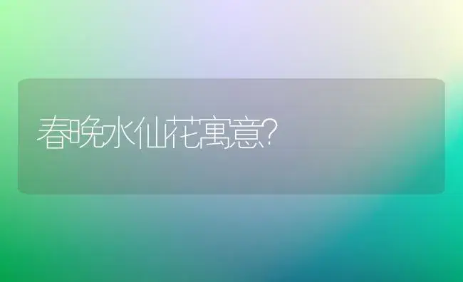 春晚水仙花寓意？ | 绿植常识