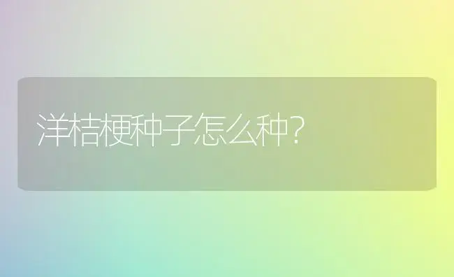 洋桔梗种子怎么种？ | 家庭养花