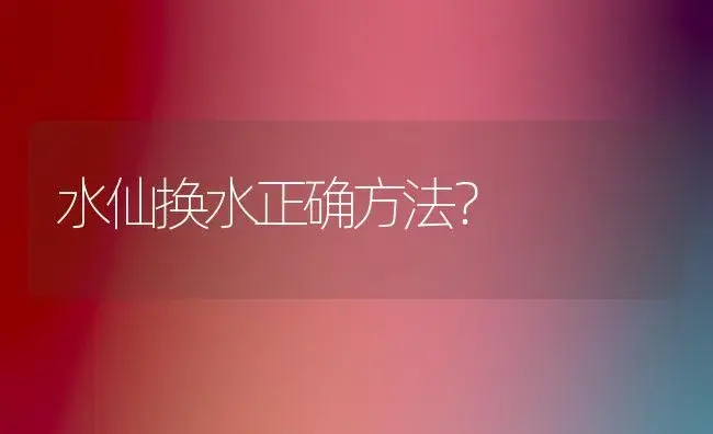 水仙换水正确方法？ | 绿植常识