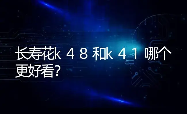 长寿花k48和k41哪个更好看？ | 多肉养殖