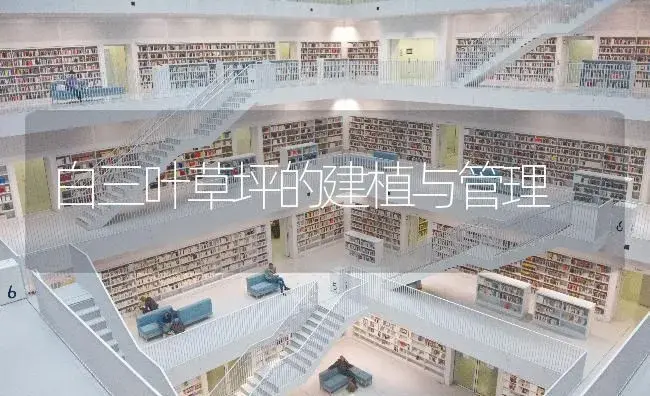 白三叶草坪的建植与管理 | 特种种植