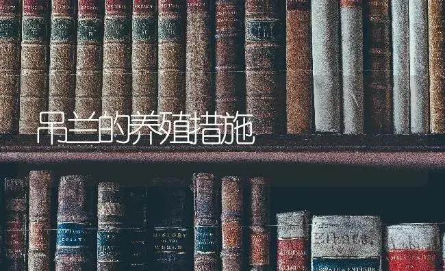 吊兰的养殖措施 | 特种种植