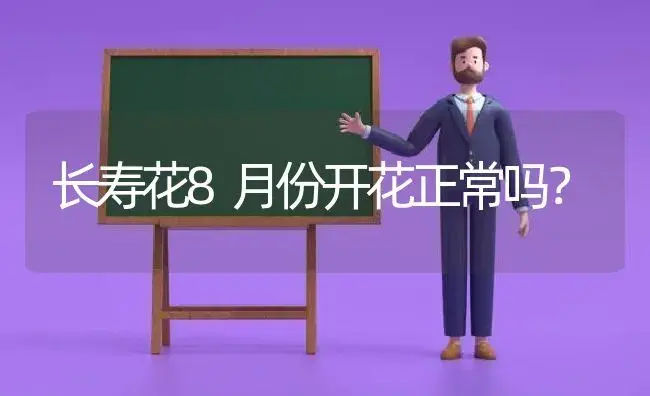 长寿花8月份开花正常吗？ | 多肉养殖