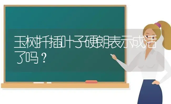 玉树扦插叶子硬朗表示成活了吗？ | 多肉养殖