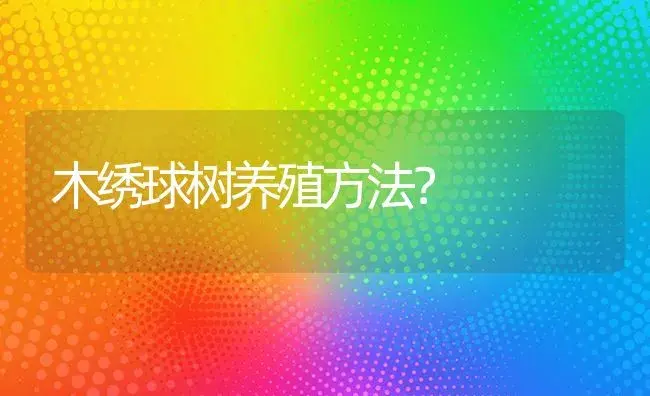 木绣球树养殖方法？ | 绿植常识